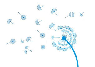 攜手長春網站建設，打造企業專屬的數字化門戶