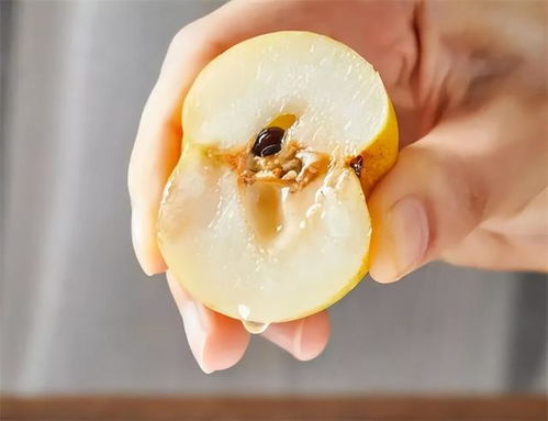 北國醉果，南國無覓處 品嘗后真的會醉嗎？